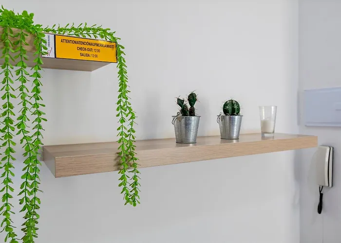 Tenerife Urban Gæstehus *